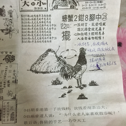揭秘林中的高手王中王猜一肖的奧秘，揭秘林中之王王中王與生肖奧秘探秘