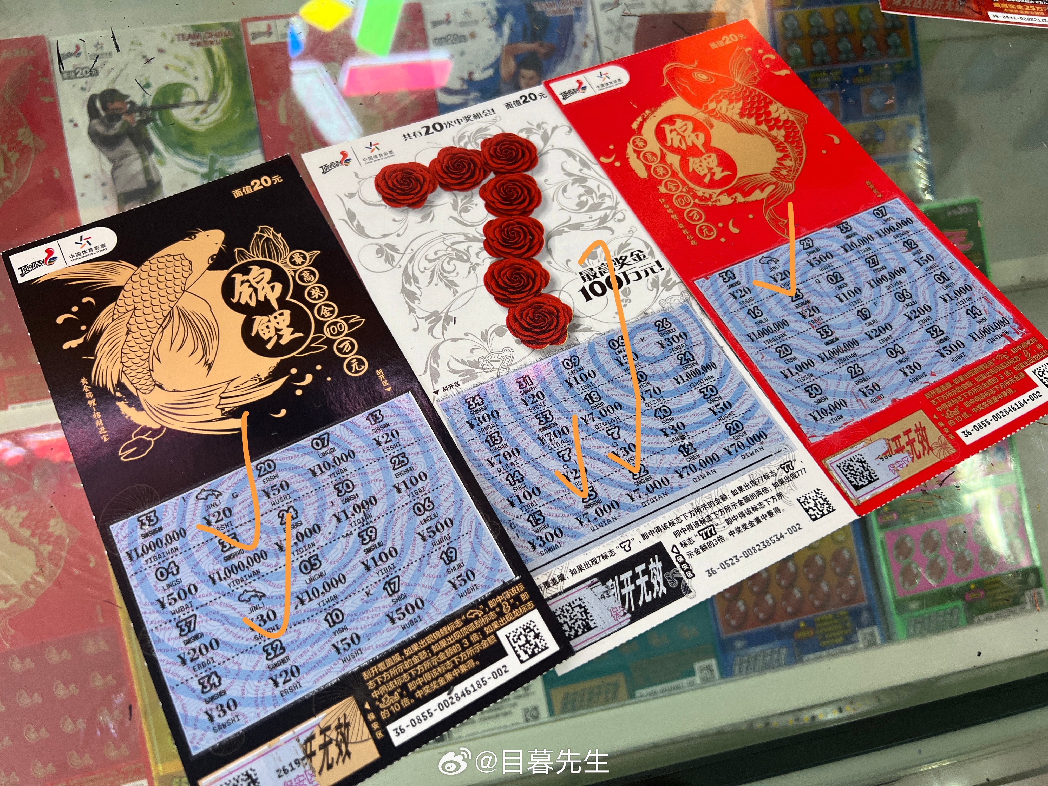 全年王中王一肖中特，深度解析與預(yù)測，全年王中王一肖深度解析與預(yù)測，揭秘特肖趨勢