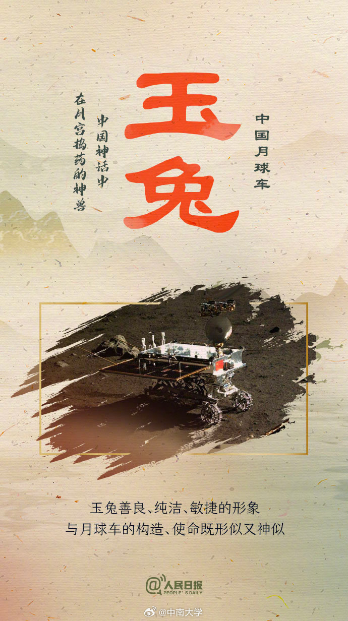 揭秘王中王平特一肖免會公開的奧秘，王中王平特一肖免公開揭秘奧秘