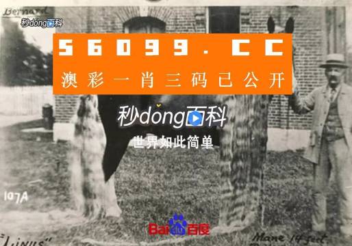 澳門(mén)王中王心水王中王，探索與解析，澳門(mén)王中王心水奧秘，深度探索與解析