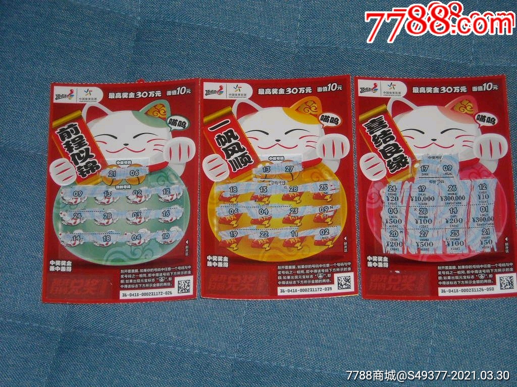 揭秘王中王資料一肖中特y招財貓，真相與秘密，揭秘王中王資料與招財貓，真相與秘密探索