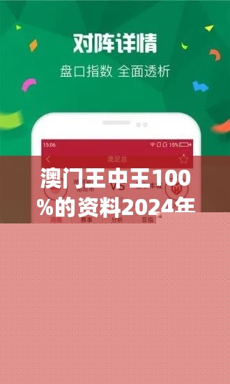 王中王網(wǎng)站一肖，探索與SEO優(yōu)化策略，王中王網(wǎng)站一肖，深度探索與SEO優(yōu)化策略實踐