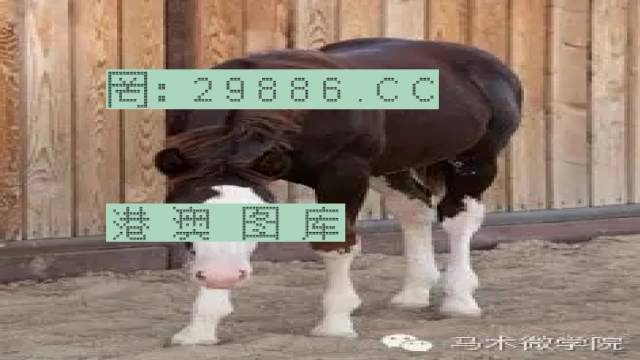 揭秘446999一肖中特馬之秘密，掌握中獎(jiǎng)玄機(jī)！，揭秘特馬中獎(jiǎng)玄機(jī)，446999一肖中的秘密大揭秘！