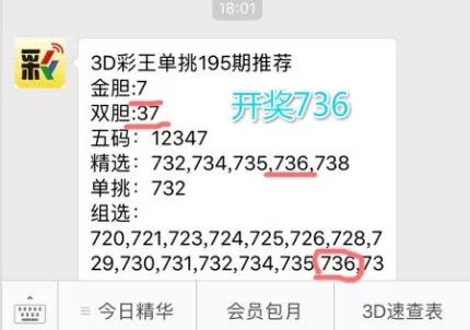 王中王一肖中特4993，深度解析與探索，王中王一肖中特4993深度解析與探索報告