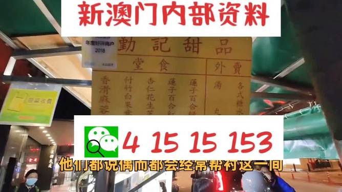 新澳門單雙肖期期，探索與解析，澳門單雙肖期期探索與解析指南