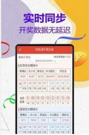 揭秘周天師平特一肖與王中王的神秘關(guān)聯(lián)，周天師平特一肖與王中王的神秘紐帶揭秘