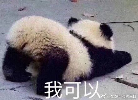 澳門(mén)精準(zhǔn)四不像最新正版，揭秘與探索，澳門(mén)精準(zhǔn)四不像揭秘與探索最新正版資訊