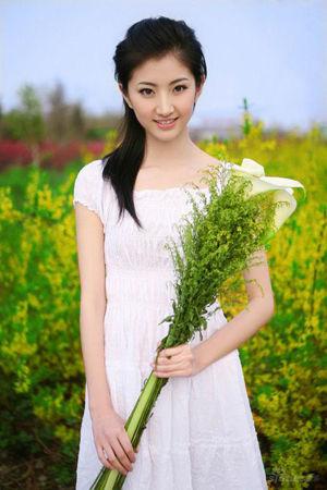 新澳門(mén)生肖走勢(shì)圖精準(zhǔn)版，解讀與SEO策略，新澳門(mén)生肖走勢(shì)圖精準(zhǔn)解讀與SEO策略揭秘