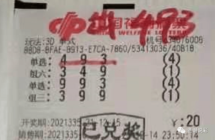 新奧門彩天天開獎(jiǎng)資料一網(wǎng)羅萬象，揭秘彩票奧秘，揭秘彩票奧秘，新奧門彩天天開獎(jiǎng)資料一網(wǎng)羅萬象