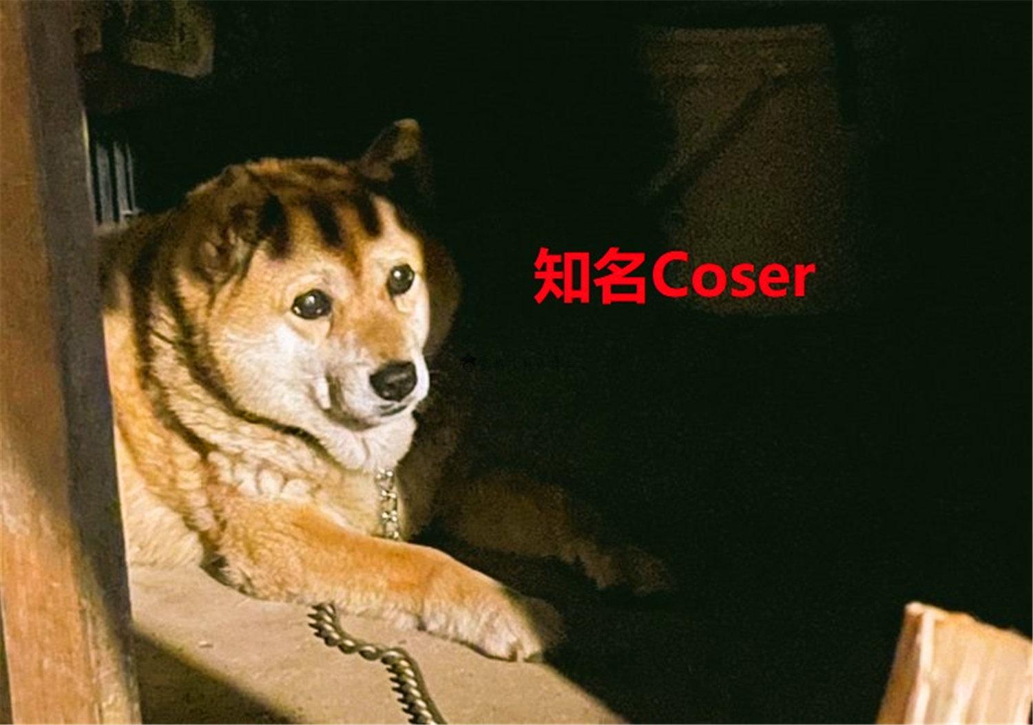 豬狗同行王中王，猜一肖，深度解析與SEO優(yōu)化，豬狗同行王中王猜謎解析與SEO優(yōu)化技巧，深度解析揭秘生肖之謎