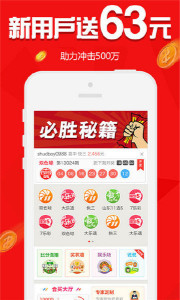 王中王欲錢請猜一肖，揭秘生肖之謎與SEO策略，揭秘生肖之謎與SEO策略，王中王欲錢請猜一肖的奧秘