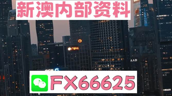 澳門跑狗，探索與解析，澳門跑狗，探索與解析之道