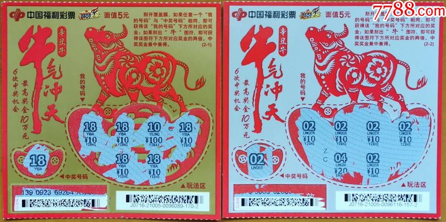 王中王19期指一生肖——探尋背后的奧秘與意義，王中王19期指一生肖，背后的奧秘與意義探尋