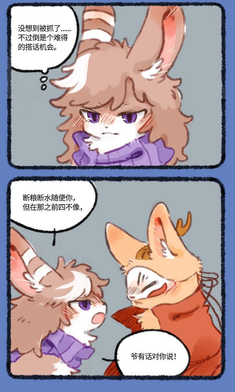 今天正版四不像，深度解析一種獨特的文化現(xiàn)象，深度解析，正版四不像——獨特的文化現(xiàn)象探究