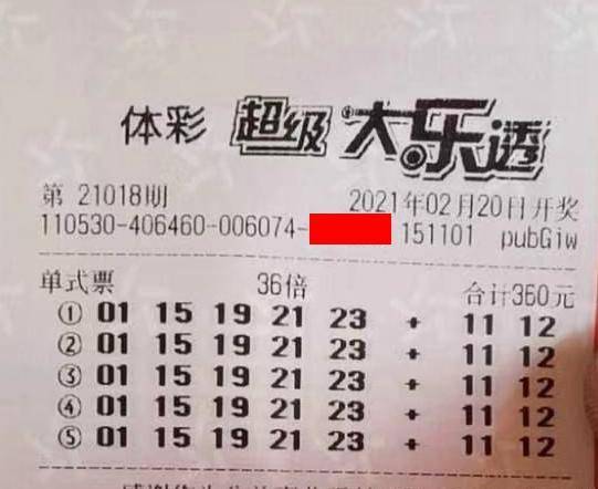 王中王018期指一生肖，揭秘背后的奧秘與意義，揭秘生肖奧秘，王中王生肖背后的意義與秘密