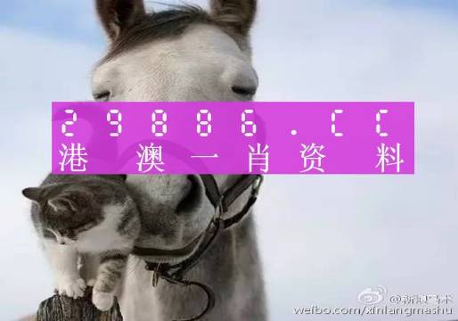 揭秘劉伯溫四肖選一碼的意思——探尋背后的故事與真相，揭秘劉伯溫四肖選一碼背后的真相與故事