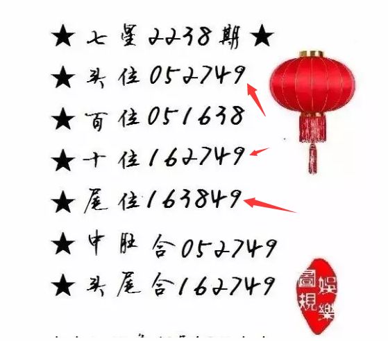 王中王一肖尾數(shù)資料，深度解析與探索，王中王一肖尾數(shù)資料深度解析與探索之旅