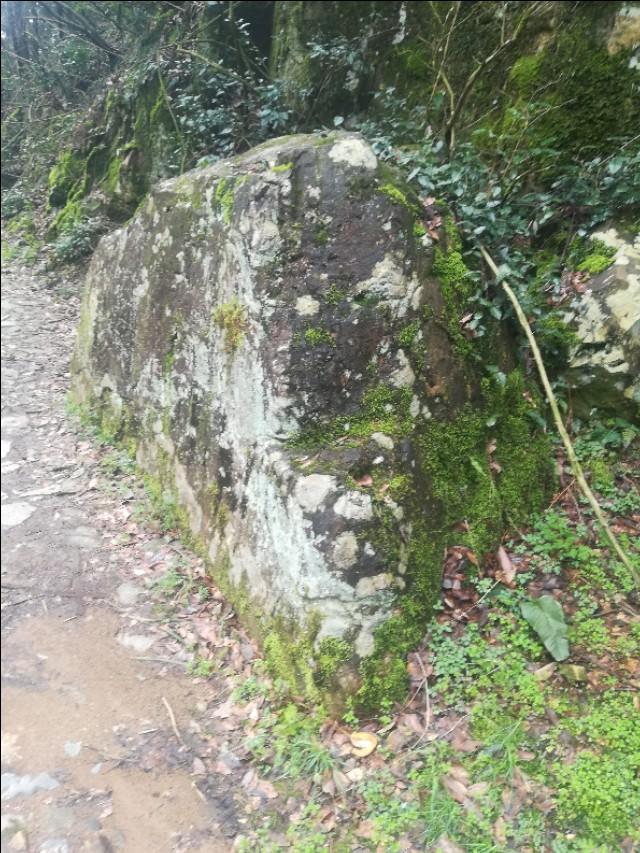 揭秘四不像劉伯溫一肖圖——探尋背后的神秘故事與SEO奧秘，揭秘四不像劉伯溫一肖圖背后的神秘故事與SEO奧秘探索