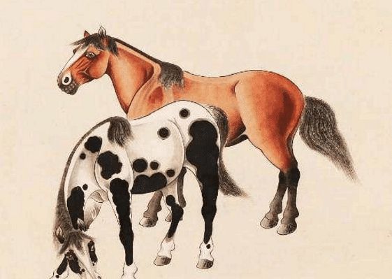 馬一王中王特平一肖圖，深度解析與SEO優(yōu)化策略，深度解析馬一王中王特平肖圖，SEO優(yōu)化策略探討