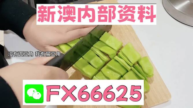 新澳精選資料免費(fèi)提供，探索優(yōu)質(zhì)資源的海洋，新澳精選資料免費(fèi)探索，優(yōu)質(zhì)資源海洋的開啟