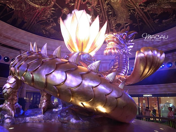 澳門(mén)無(wú)錯(cuò)七尾，探索與解析，澳門(mén)無(wú)錯(cuò)七尾，深度探索與解析