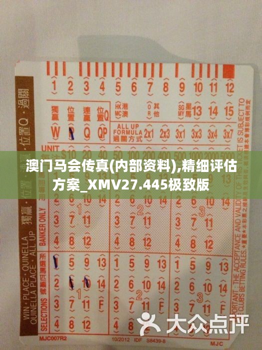 馬會(huì)傳真正版，探索正版馬會(huì)文化的魅力與價(jià)值，正版馬會(huì)文化的魅力與價(jià)值探索