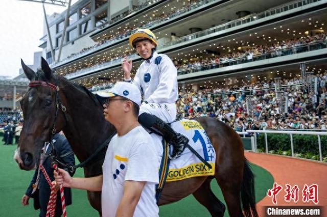 香港特馬王資料免費(fèi)公開，揭秘背后的秘密，香港特馬王資料揭秘，免費(fèi)公開背后的秘密