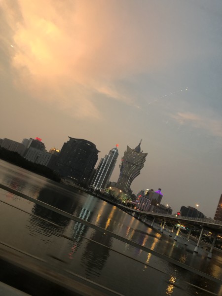 澳門今晚必開一肖一特，深度解析與預(yù)測，澳門今晚生肖特碼深度解析與預(yù)測，一肖一特必開趨勢探討