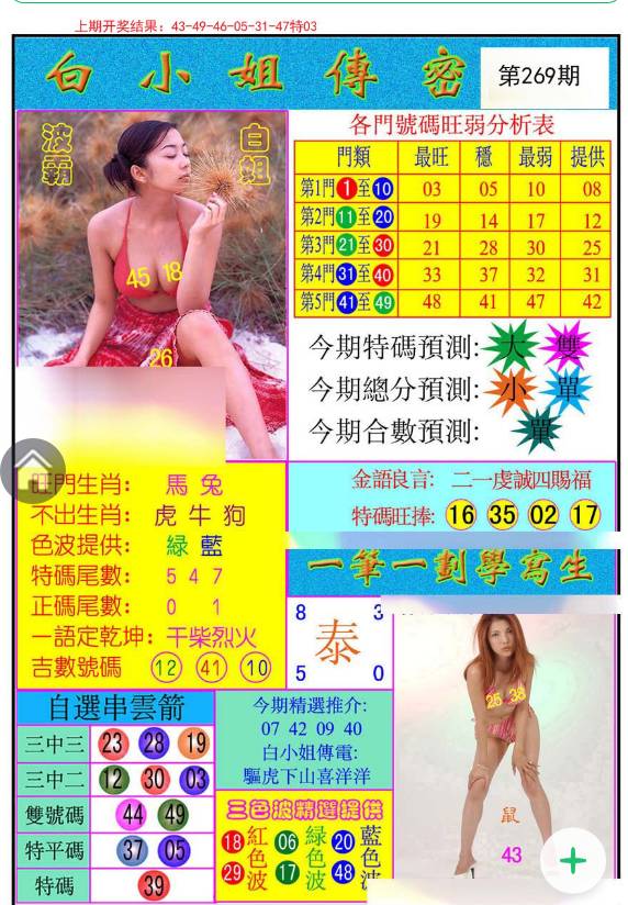 揭秘白小姐與王中王平持一肖的神秘面紗，白小姐與王中王，揭秘神秘生肖預(yù)測(cè)面紗