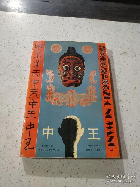 王中王資料與肖中特，深度解析，王中王資料與肖中特深度剖析