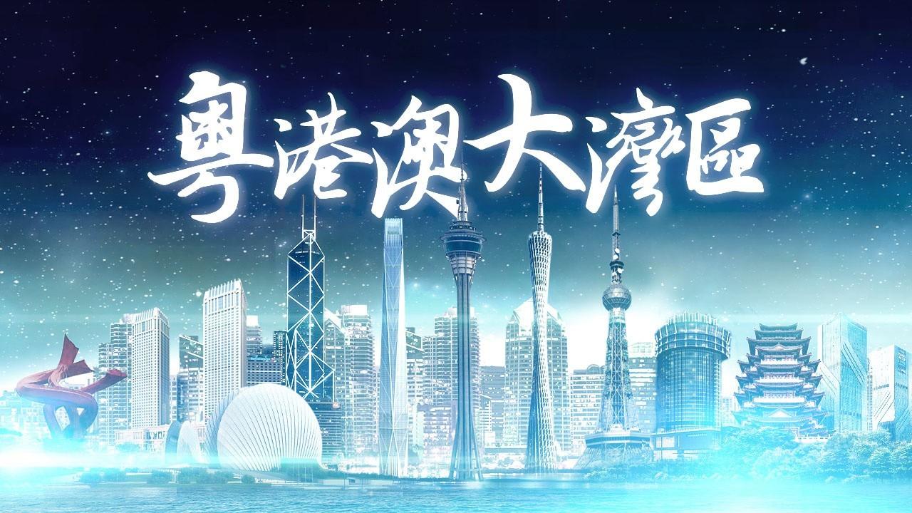 2025年香港正版免費(fèi)資料全面解析，香港正版免費(fèi)資料全面解析（2025版）