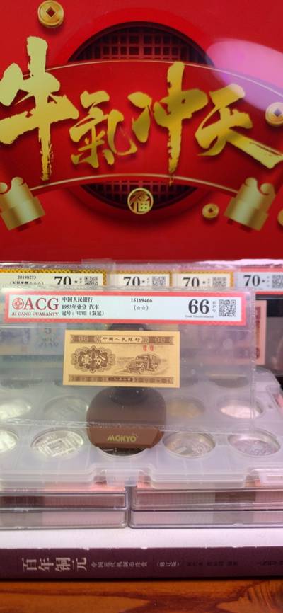 王中王廣東一肖，探尋背后的故事與奧秘，王中王廣東一肖，背后的故事與奧秘探尋