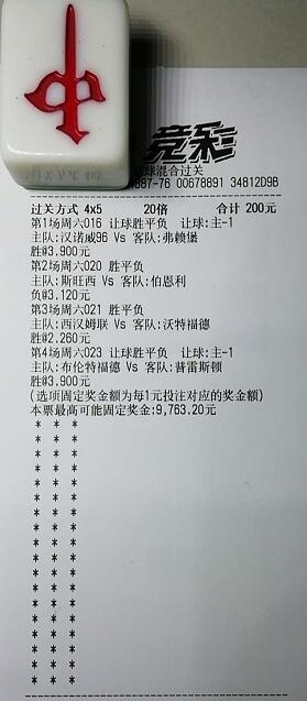 揭秘買一肖中獎(jiǎng)的賠率與風(fēng)險(xiǎn)，你真的準(zhǔn)備好了嗎？，揭秘買一肖中獎(jiǎng)背后的賠率與風(fēng)險(xiǎn)，你真的做好準(zhǔn)備了嗎？