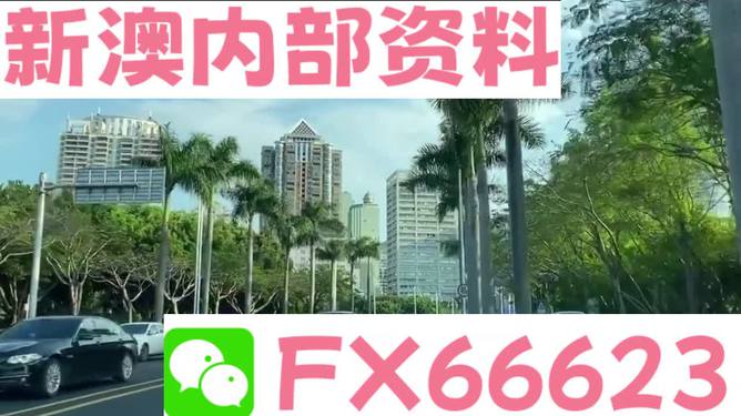 新澳精準資料免費提供，探索第221期的奧秘與價值，新澳精準資料揭秘第221期奧秘與價值