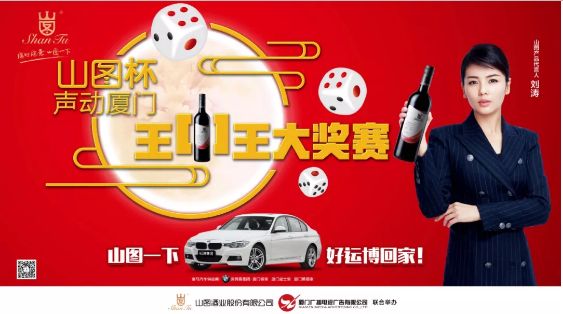 揭秘王中王背后的故事，從肖中的視角看其在SEO領(lǐng)域的輝煌成就，肖中視角下的王中王，SEO領(lǐng)域的輝煌成就揭秘