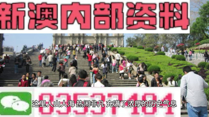 澳門最精準免費資料大全旅游團，探索澳門之旅的完美選擇，澳門最精準免費資料大全旅游團，探索澳門之旅的不二之選