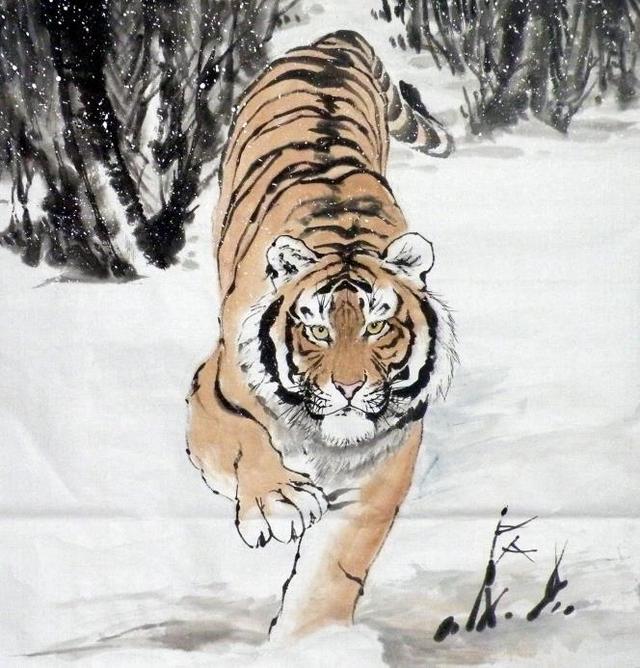 猛虎下山王中王，揭秘一生肖的神秘魅力，揭秘生肖之王——猛虎下山之神秘魅力