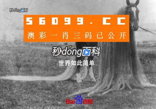 澳門一肖一碼一必中一肖舟山，揭秘彩票秘密，掌握幸運(yùn)之鑰，揭秘彩票秘密，澳門一肖一碼必中秘籍與幸運(yùn)之鑰在舟山開啟