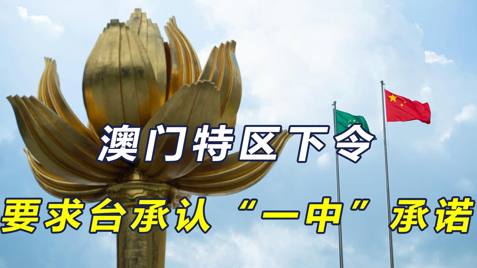 澳門一碼一肖一特一中今晚預測與探索，澳門今晚一碼一肖一特一中預測與揭秘