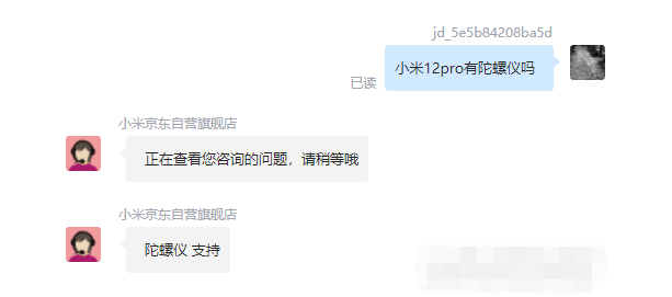 王中王一肖碼，探索關(guān)鍵詞背后的奧秘，王中王一肖碼，揭秘關(guān)鍵詞背后的奧秘
