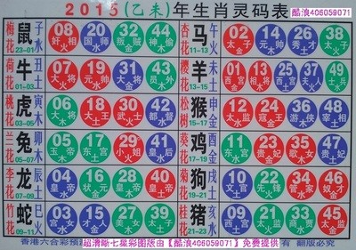 揭秘2025十二生肖與數(shù)字彩票的神奇聯(lián)系——49碼表全解析，揭秘十二生肖與數(shù)字彩票的神秘聯(lián)系，2025年49碼表深度解析