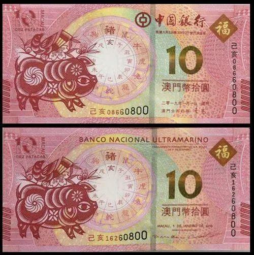 澳門天天彩期期精準(zhǔn)十二生肖預(yù)測——揭秘彩票背后的秘密，澳門天天彩期期精準(zhǔn)十二生肖預(yù)測，彩票背后的秘密大揭秘