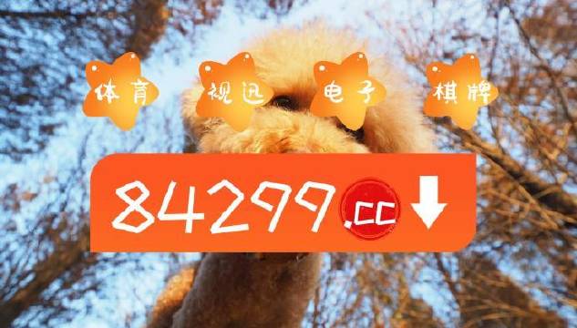 今期必中一肖一碼白小姐，揭秘彩票背后的秘密與策略，揭秘彩票背后的秘密與策略，白小姐今期必中一肖一碼解析