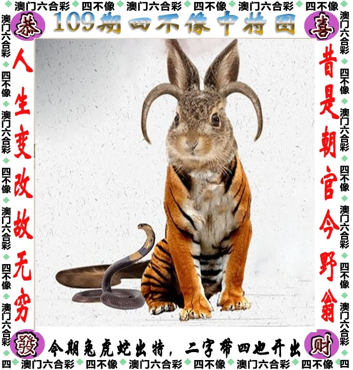 四不像王中王資料一肖，深度解析與探索，四不像王中王資料一肖，深度解析與探索揭秘
