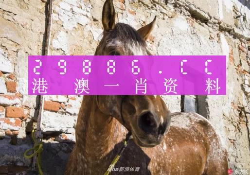 深度解析與探索 第9頁(yè)