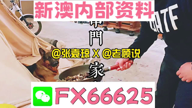 新澳門精準資料大全，管家婆料解析與探索，澳門精準資料大全，管家婆料解析與深度探索