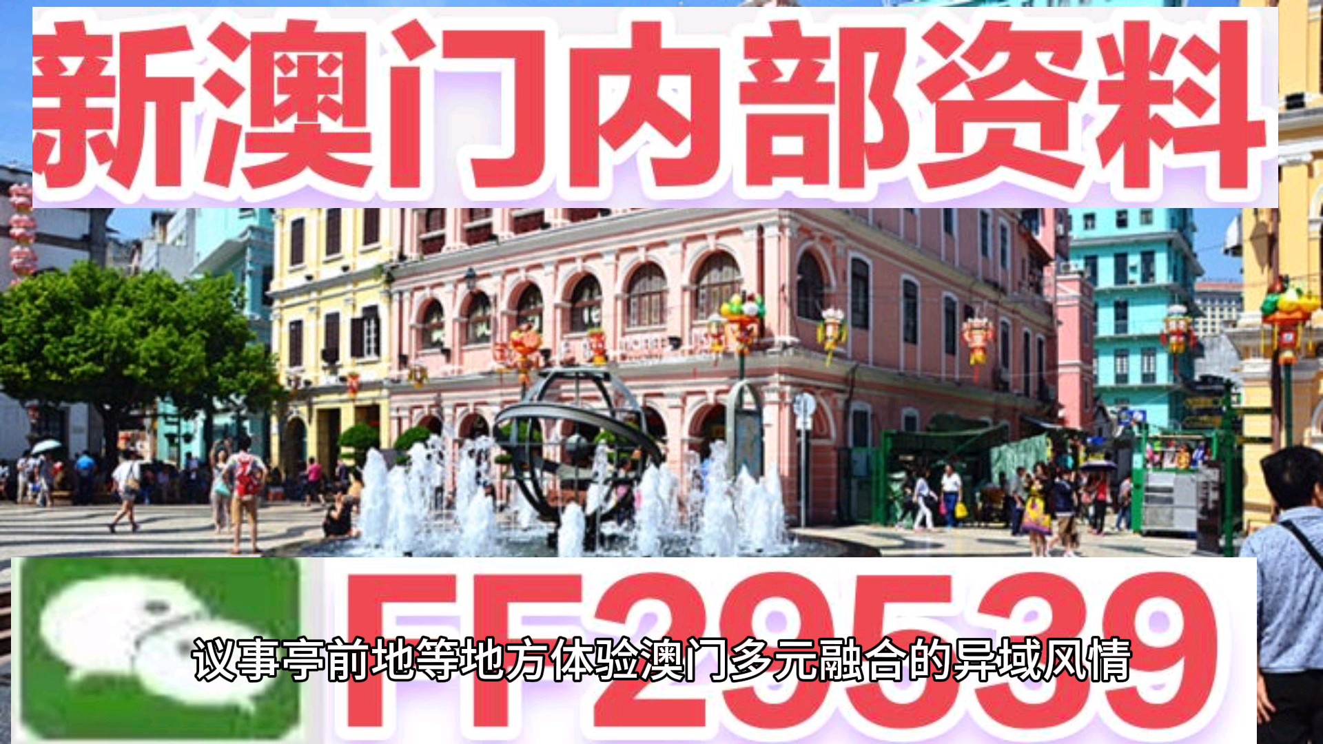 澳門今晚必開一肖一特，揭秘生肖彩票的魅力與策略，澳門生肖彩票揭秘，必開一肖一特的魅力與策略