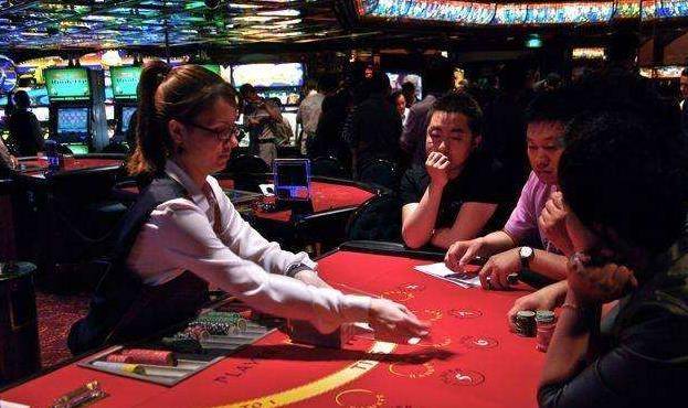 澳門金牛王中王一肖，探索背后的神秘與魅力，澳門金牛王中王一肖，神秘魅力背后的探索
