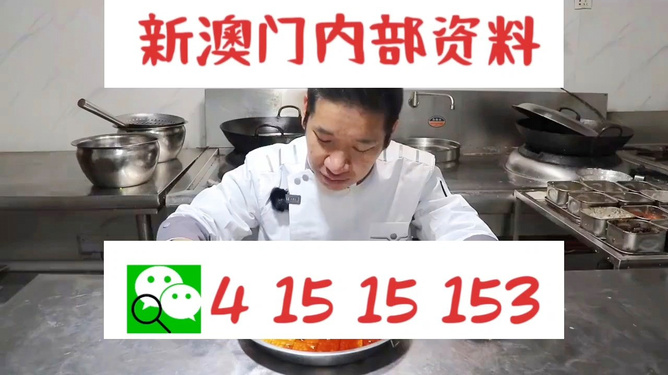 管家婆一肖資料大全，深度解析與探索，管家婆一肖資料深度解析與探索大全