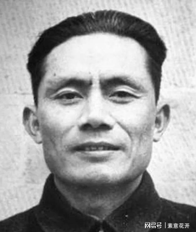 王中王平肖一特，聚焦關(guān)鍵詞背后的故事與成就，王中王平肖一特，關(guān)鍵詞背后的故事與輝煌成就